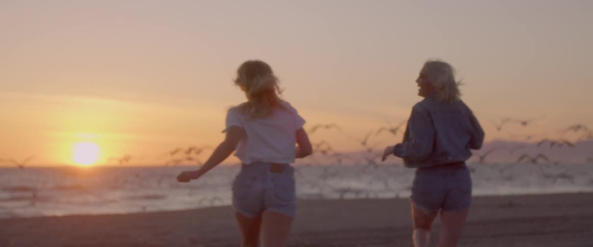 A flock of seagulls are taking off from a beach as two women run toward them at sunset