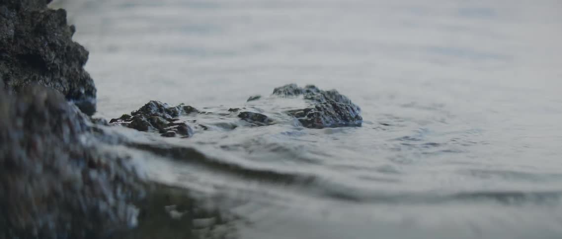The water covers the rocks
