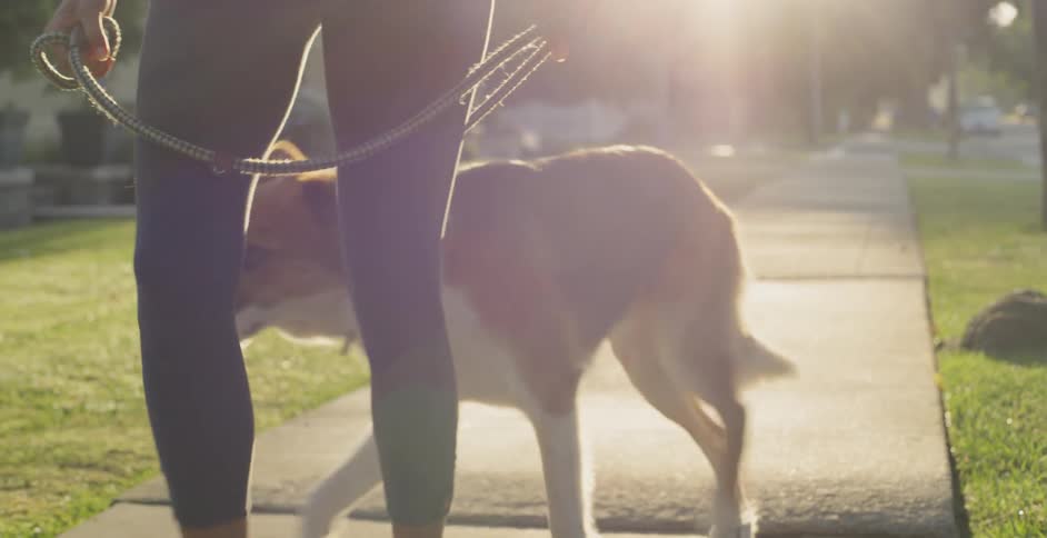 Woman Jogging With Dog