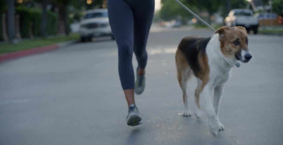 Woman jogs with her dog down a city street at sunset