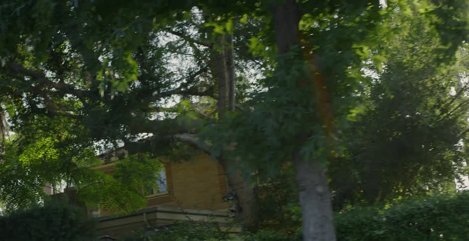 The tall trees cover the home
