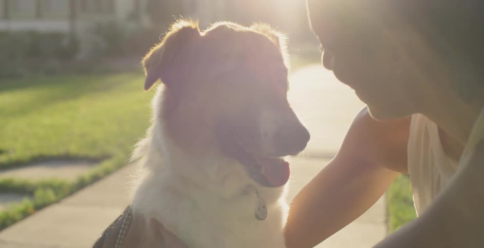 A woman pets a dog on a neighborhood sidewalk