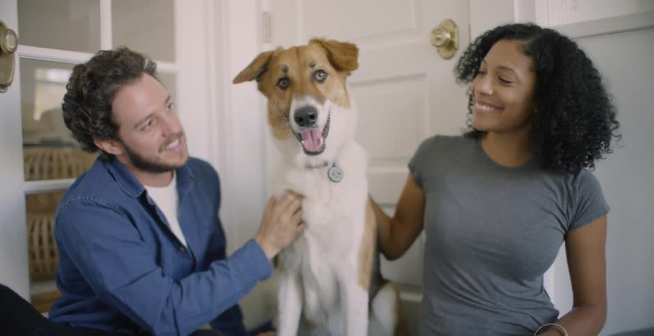 The man and woman laugh as they pet the dog
