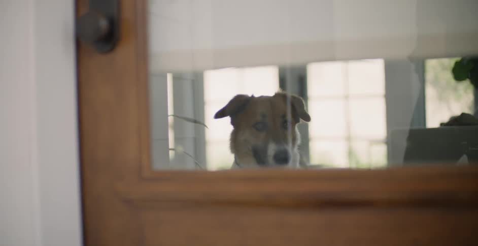 The dog is watching from inside as the door is locked from the outside