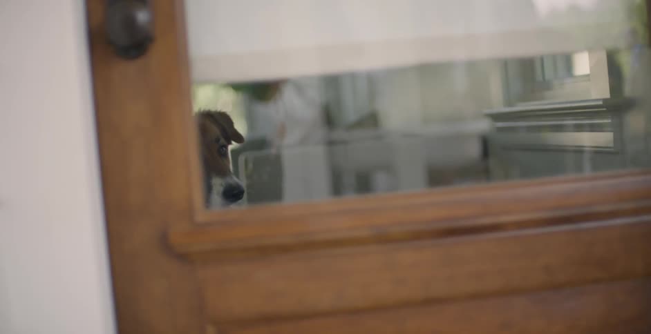 Person closes the door and a dog watches the person leave