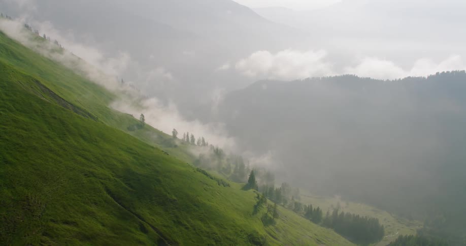 The fog creeps up the long green hills