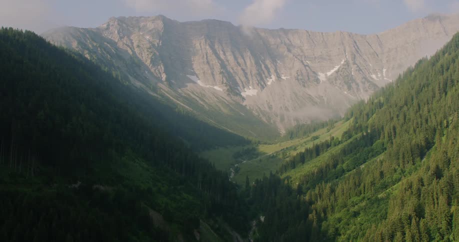 The trees line the sides of these mountains