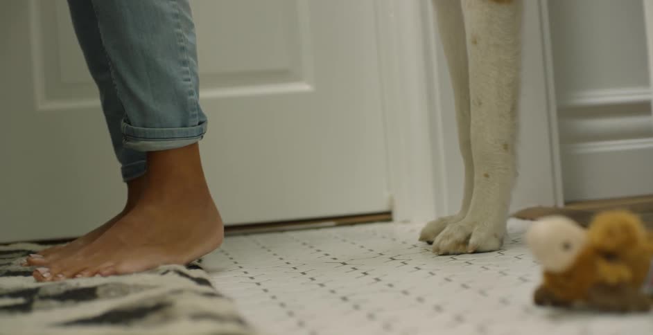 Dog and woman stand in bathroom