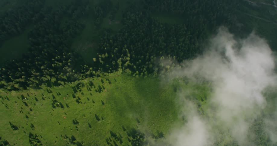 Clouds over fields and forest