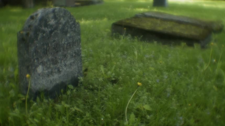 The tombstone is surrounded by tall grass