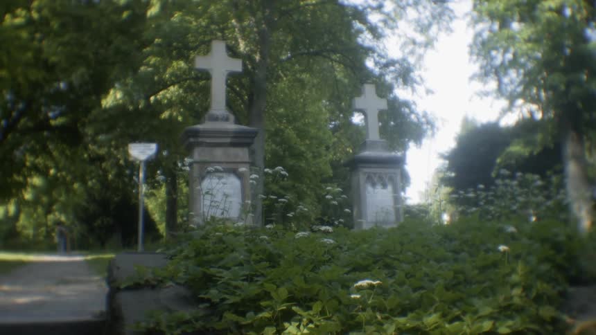 Cross tombstones in shady cemetery