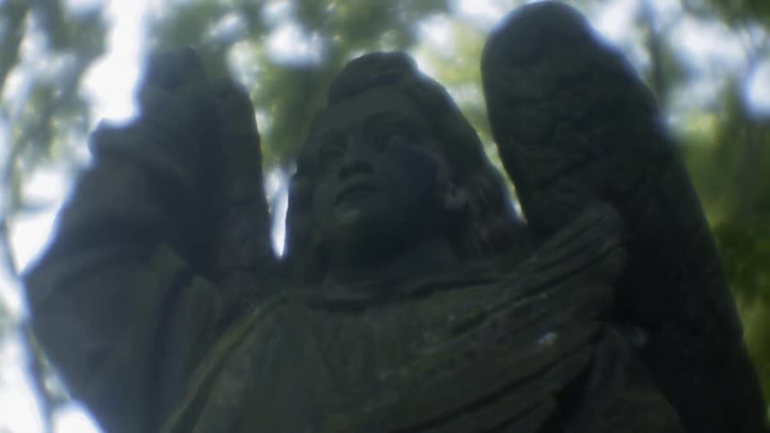 Sun shines over trees and a statue of an angel