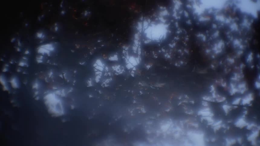 Leaves on a tree blowing in the wind