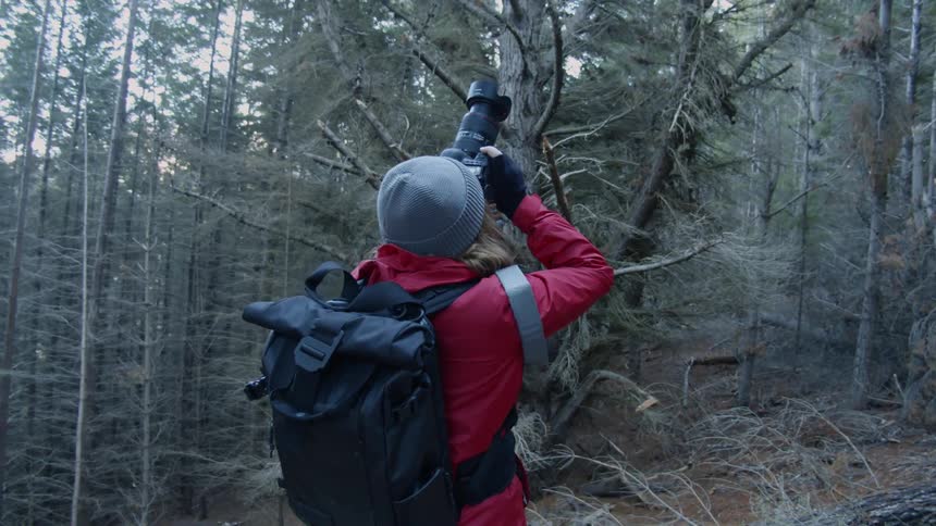 Person takes pictures in mountain forest