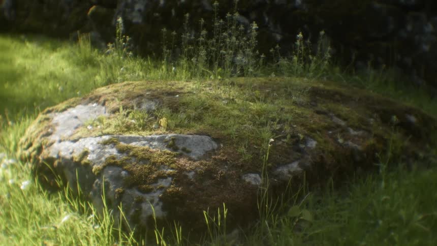 Moss covered rock sits on the grass under the sun