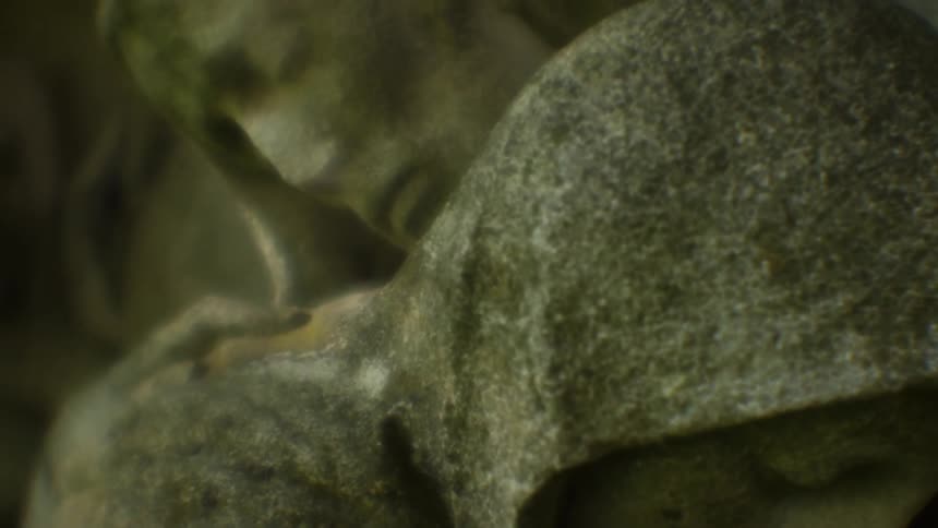 Carved stone faces show signs of weather and aging