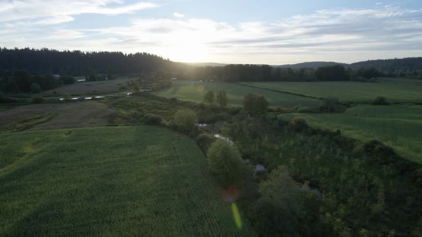 Aerial view of a large field and forest at dawn