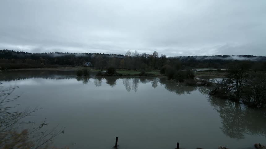 A marsh is overgrown