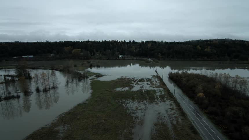 A marsh is overgrown
