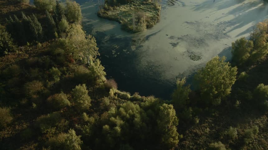 flying over foggy pond