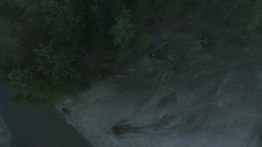 Trees are growing in a valley
