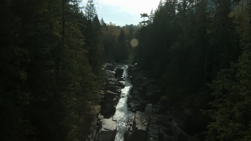 A stream flows through the woods