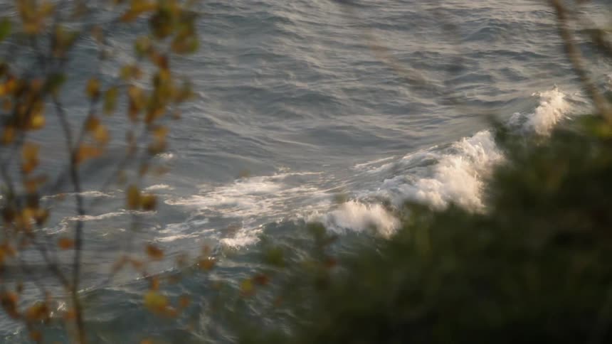 Looking through trees at waves moving around