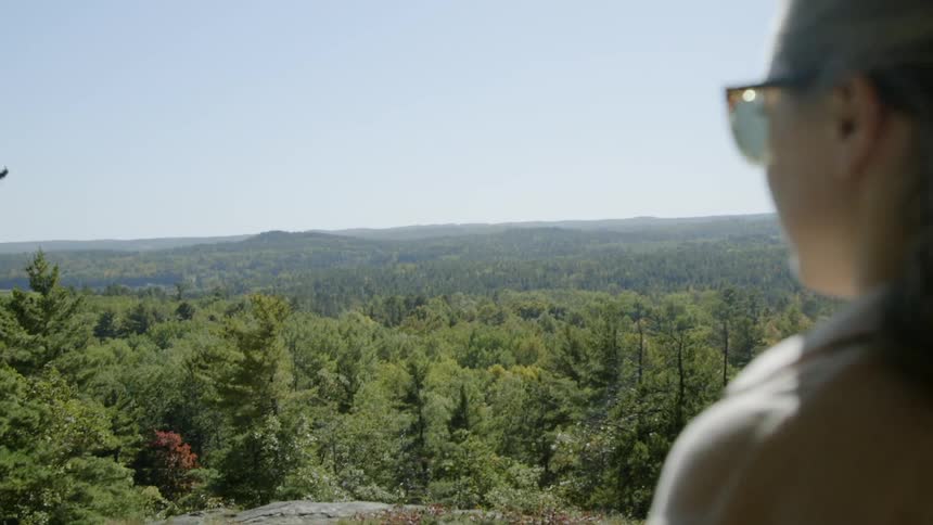 Woman looking at a forest from a high place on a windy day