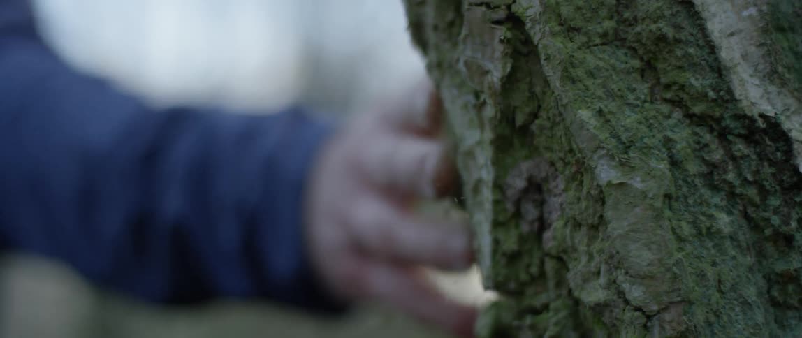 Man's hand softly rubbing on a tree