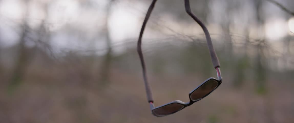 Sunglasses hanging on a tree branch in the forest