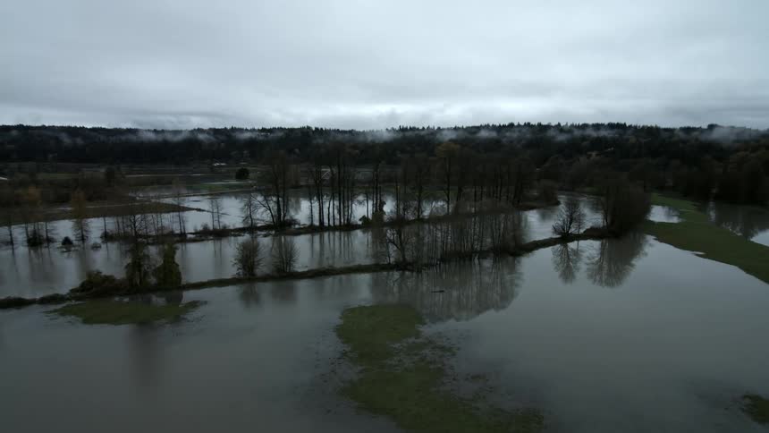 A marsh runs alongside a river