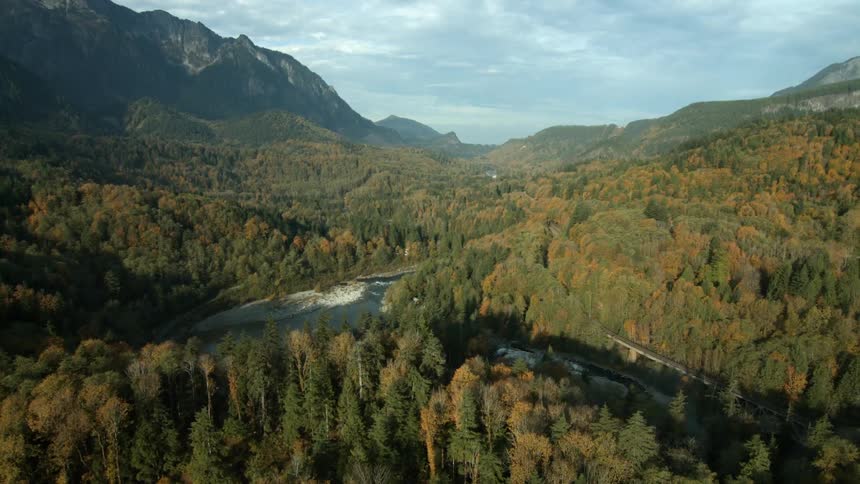 Trees are growing in a valley