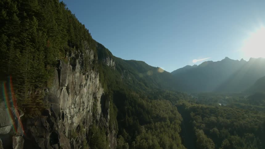A mountain stands over the trees