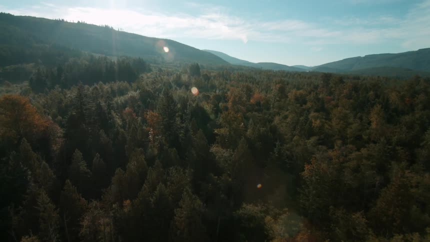 View of mountains and trees