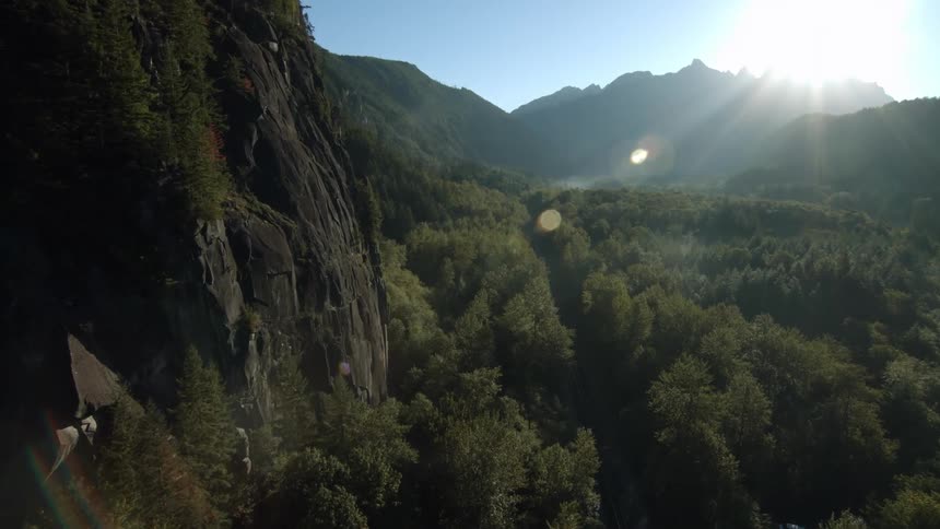 Trees grow along a mountain