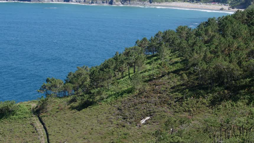 Aerial view of a sandy beach bay