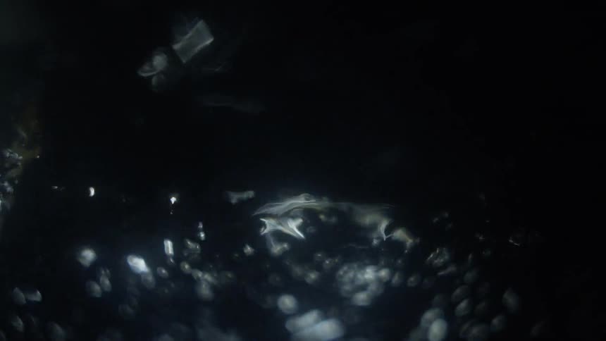 Light shines off a puddle on the ground