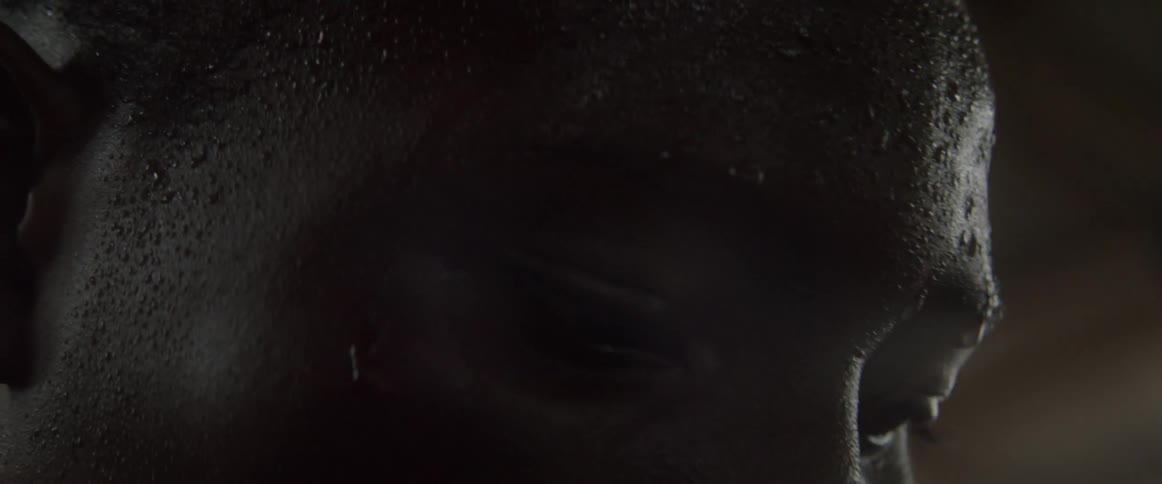 Boxers Training