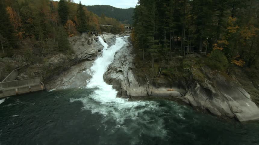 A river weaves through the forest