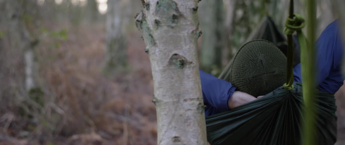 Man Camping In Woods