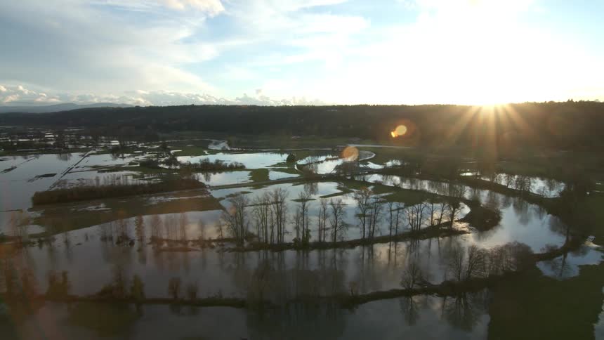 A marsh is shown