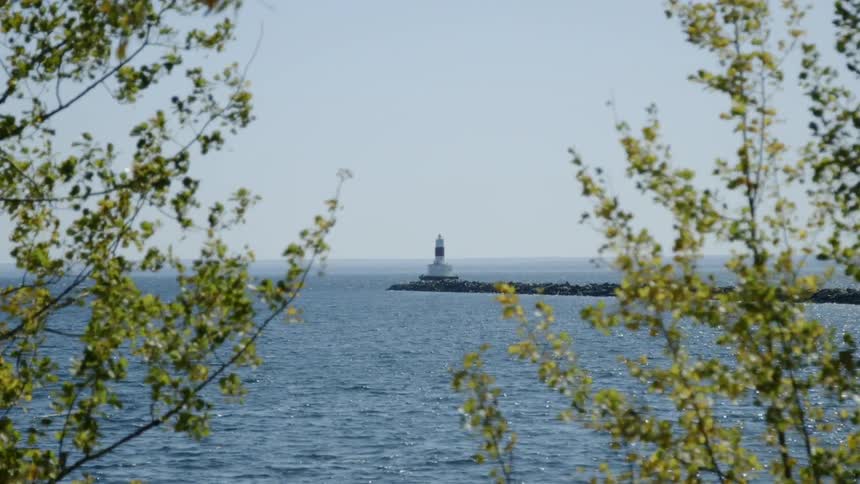 Looking through trees at a lighthouse at the end of a pier
