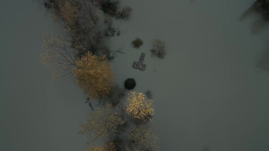 A marsh with trees
