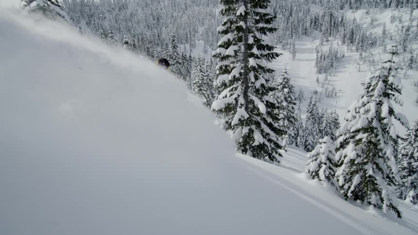 Sunny Powder Snowboarding