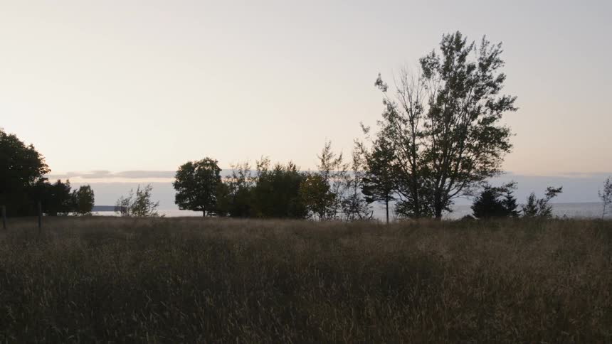 A nice calm field with small trees on a bright day