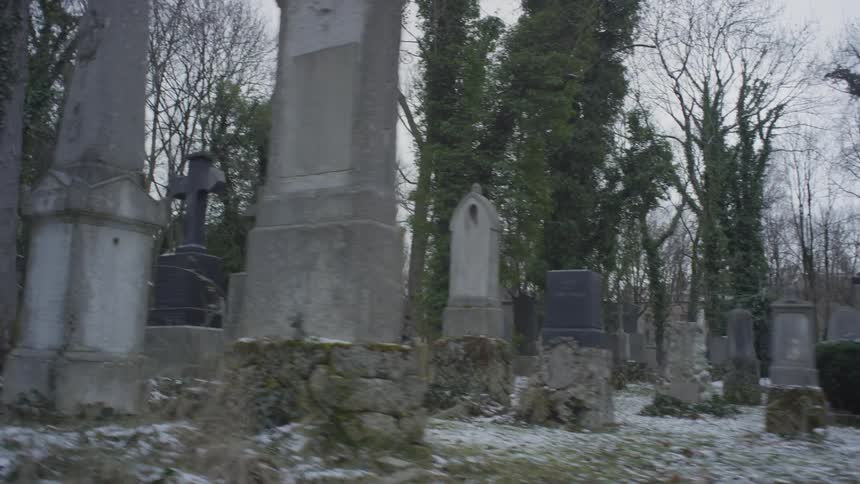 A cemetery that has been abandoned and has trees growing in it