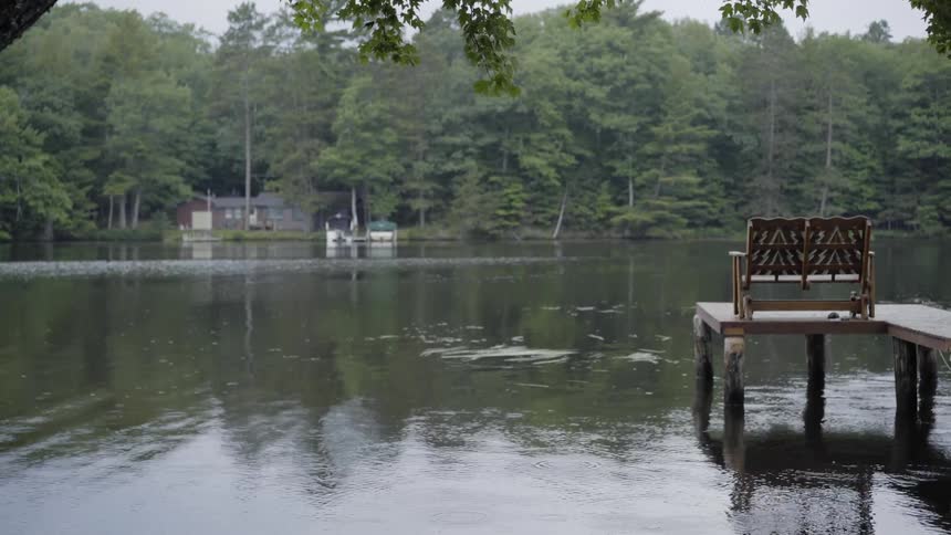 A dock sits in a calm river that flows through the forest with a bench on it