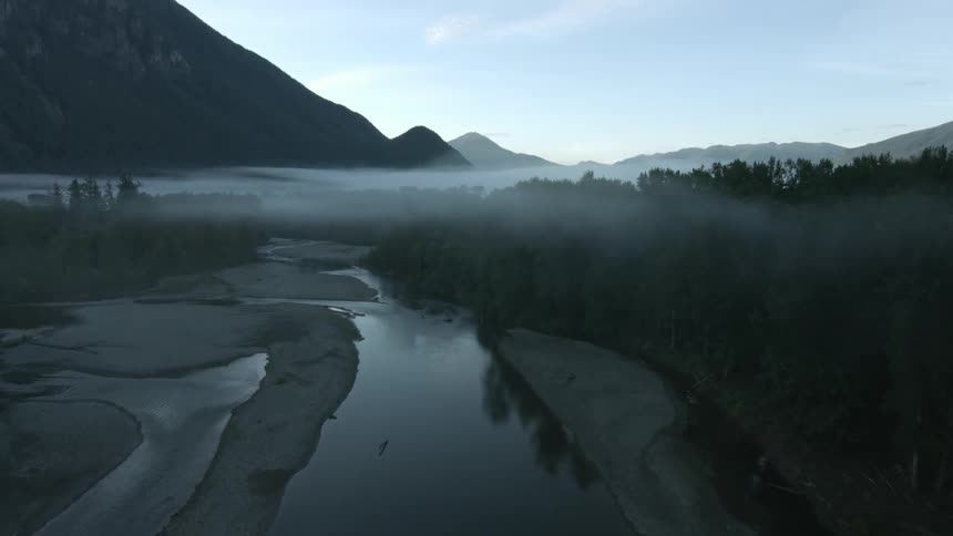 A stream drifts through the fog
