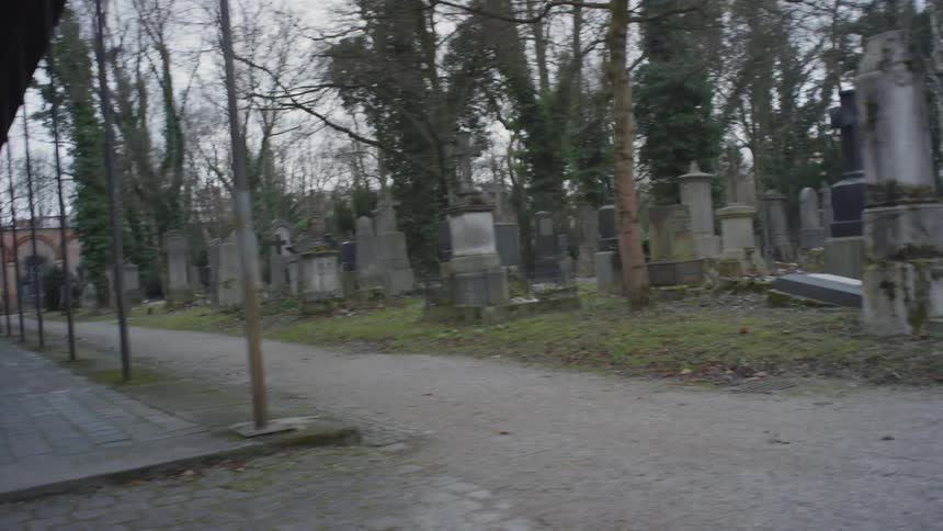 An old cemetery with a lot of trees growing in it
