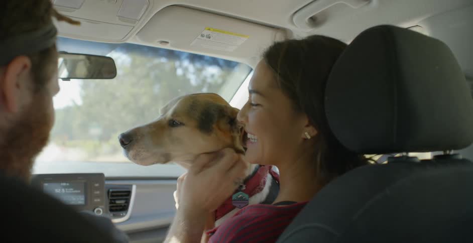 Smiling woman rides in a car with a dog on her lap and the man driving pets the dog